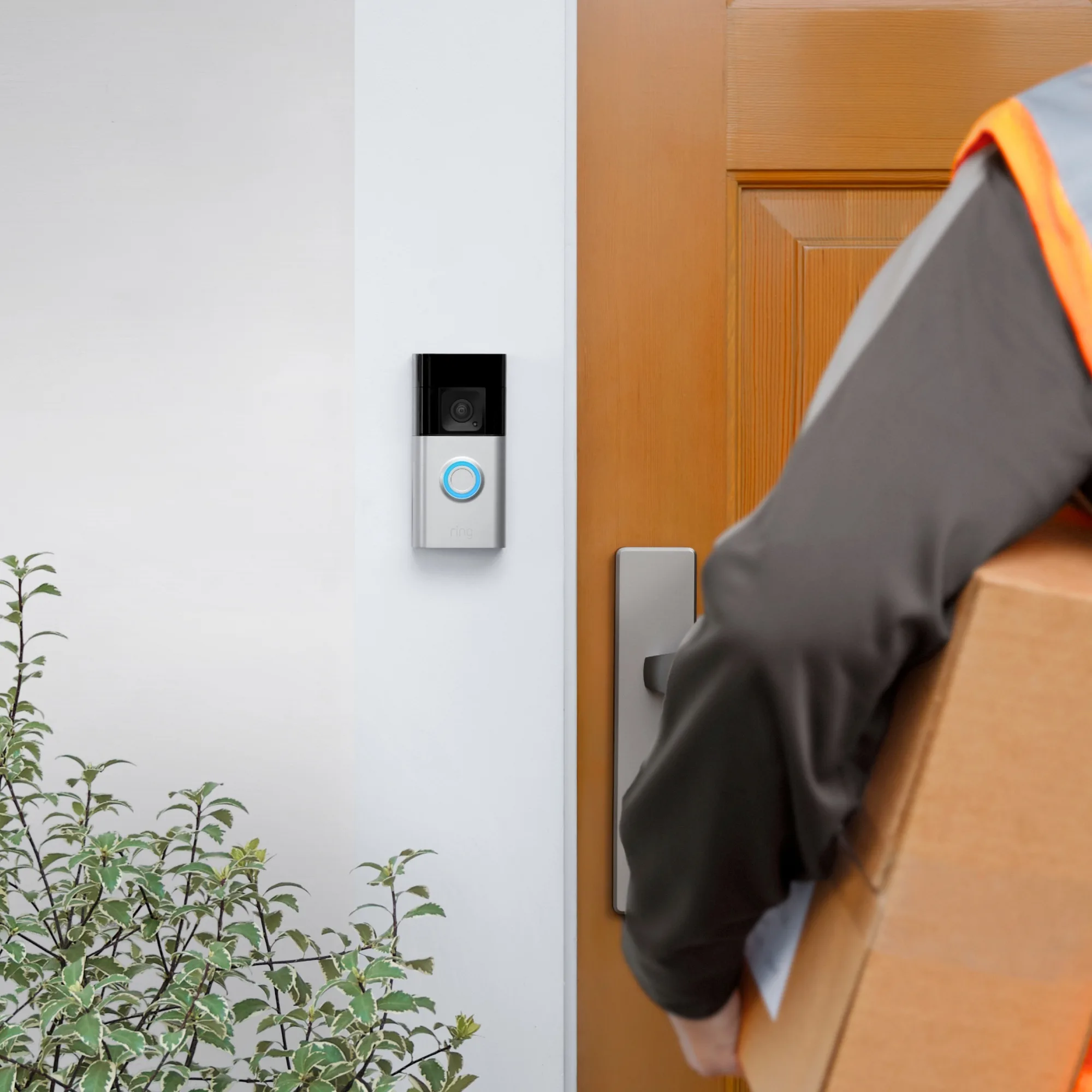 Ring Battery Video Doorbell Plus Nickel Satiné   Chime Sonnette connectée