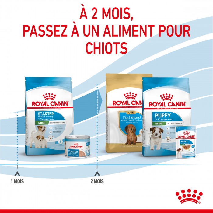 ROYAL CANIN Starter Mini Mother & Babydog - Croquettes pour chiot