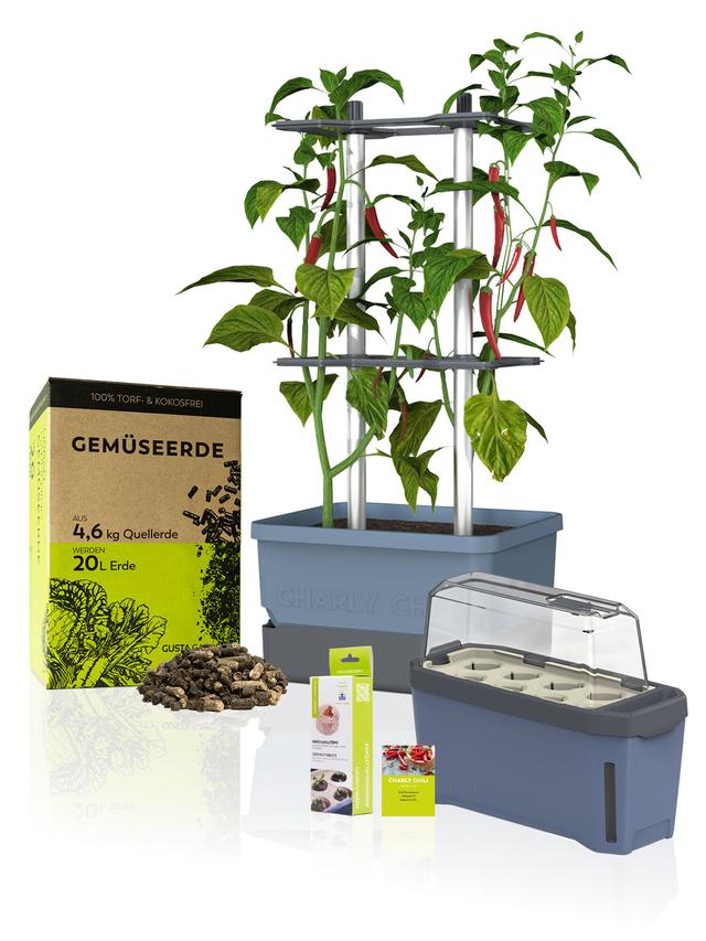 Chili Starter-Set – Chilipflanzen zuhause anbauen