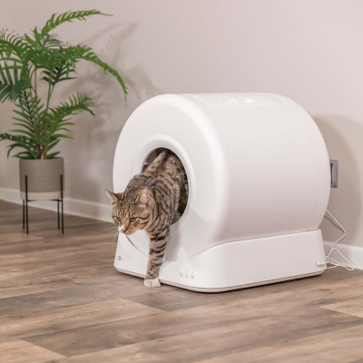 Smarte Katzentoilette Kunststoff weiss