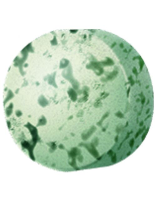 Gimcat Mint Tips - Kattensnack - Mint 40 g