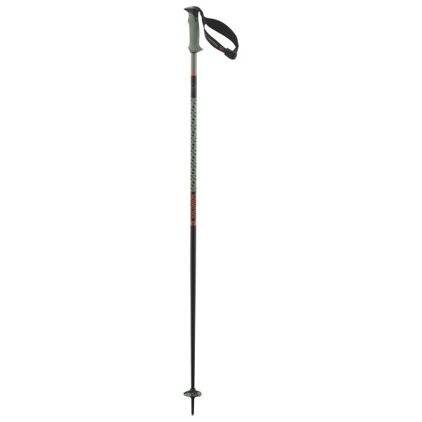 Salomon - Polar Pro S3 - Bâtons de ski