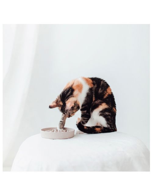 District 70 Bamboo Cat Slow Feeder - Kattenvoerbak - Ø13.5 cm Beige