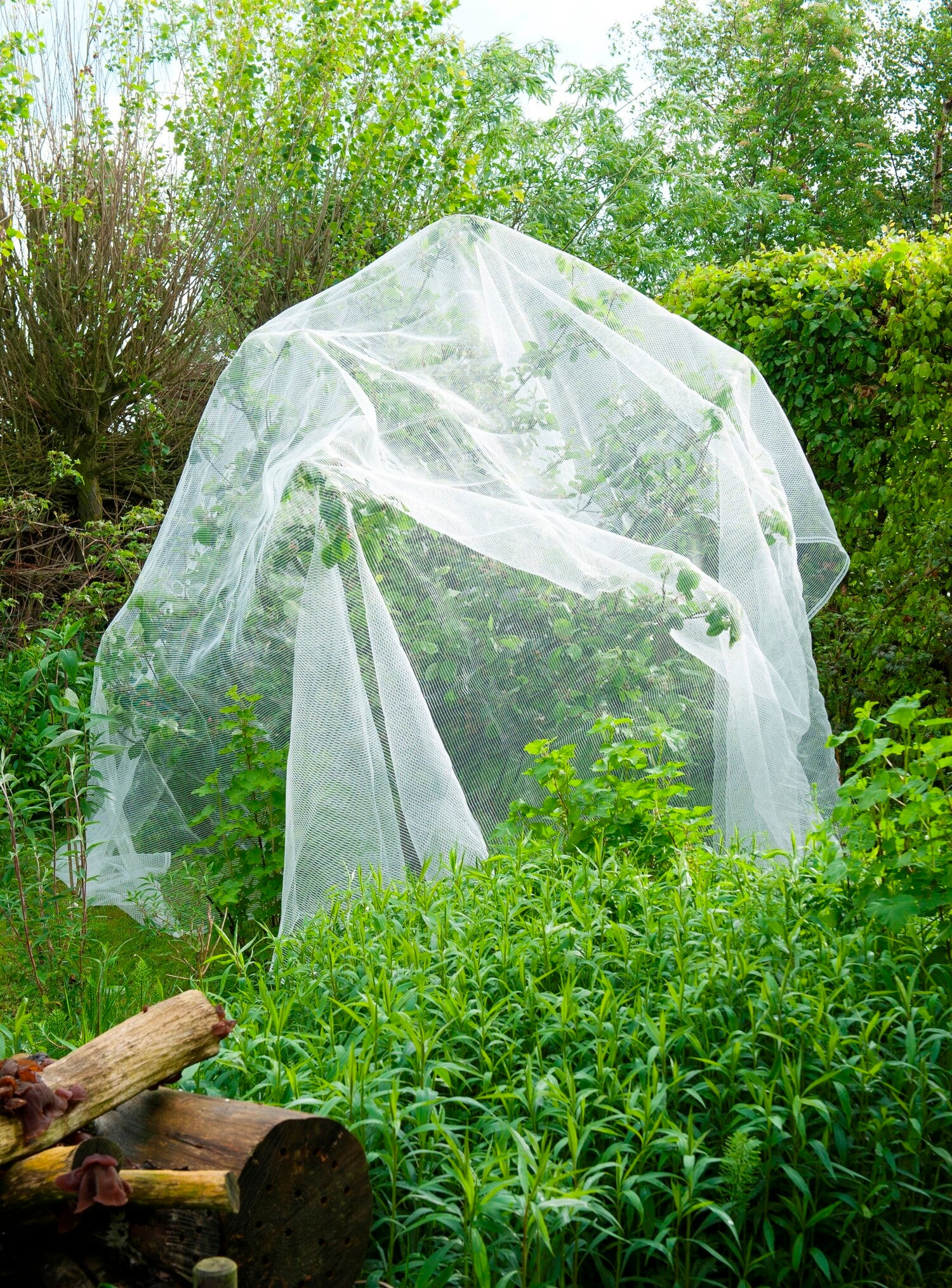 Nature insectengaas tegen fruitmot 5,20x5m