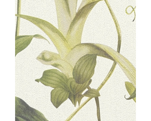 Vliesbehang 37988-1 Michalsky 4 - Verandering is goed jungle rank crème groen