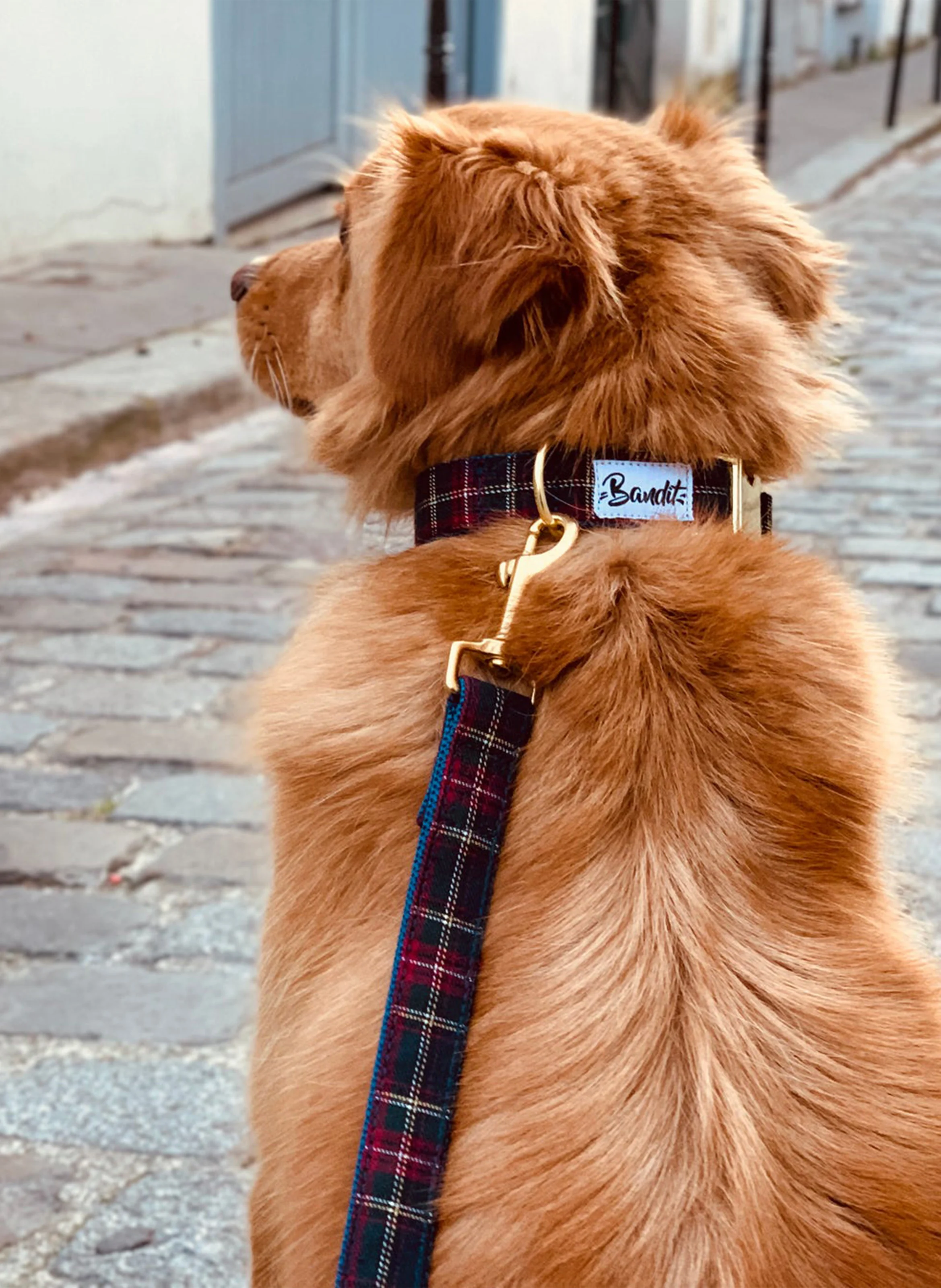 OH MY LORD - Laisse pour chien motif tartan | Bleu