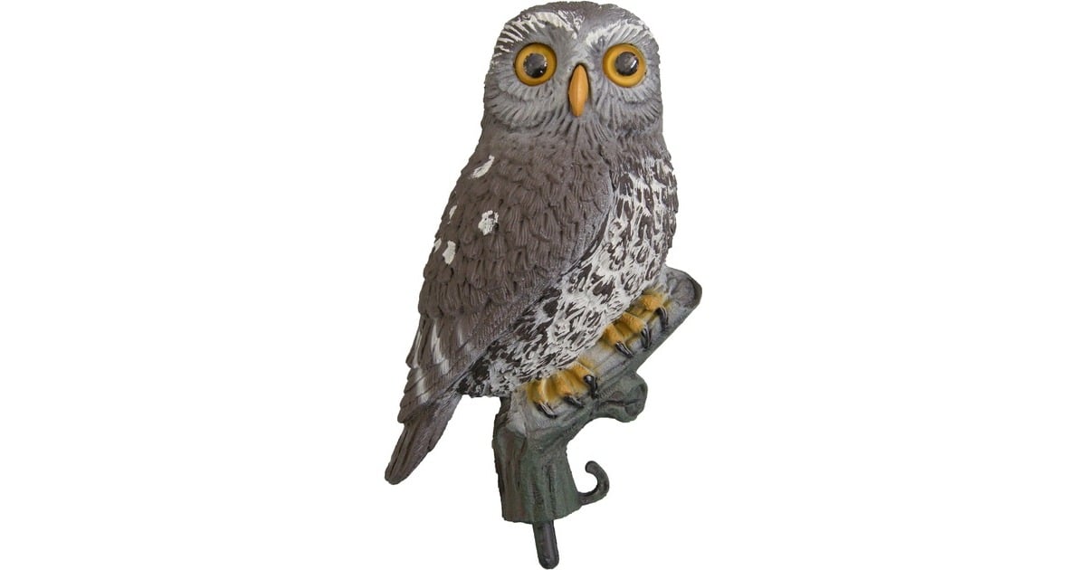 UbbinkKleine Uil waterornament