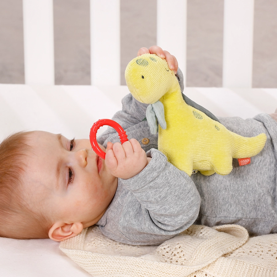 fehn® Mini-Spieluhr Dino