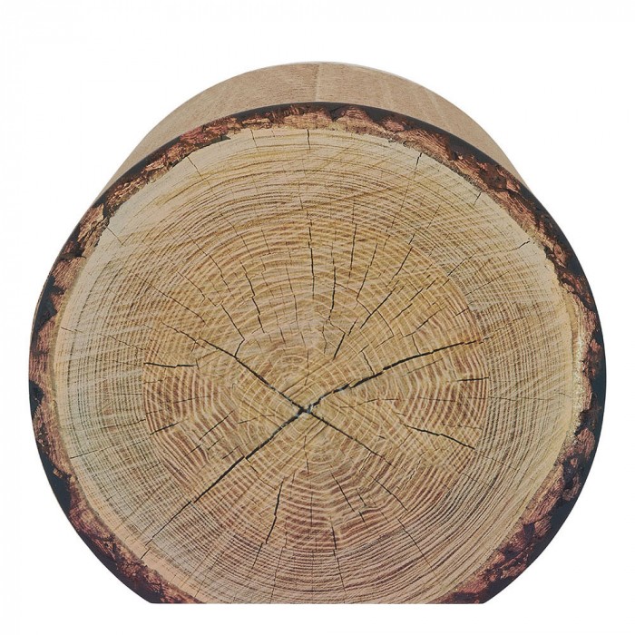 Griffoir Trunk
