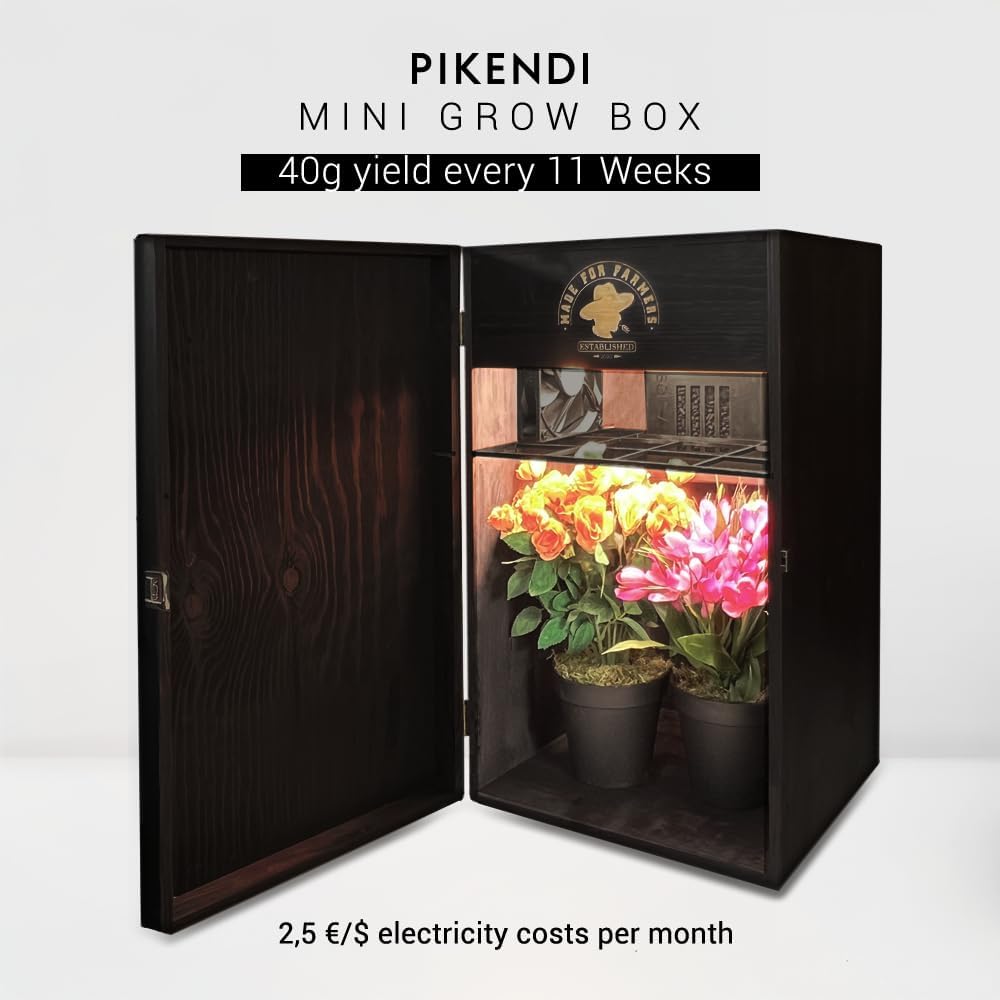 Bonsanto Pikendi Premium Schwarz Mini Grow Box, Komplett Set mit leisem Aktivkohlefilter & 35W LED, Handgefertigter Holzschrank, Kompakte, Geruchsfrei Indoor-Grow Lösung