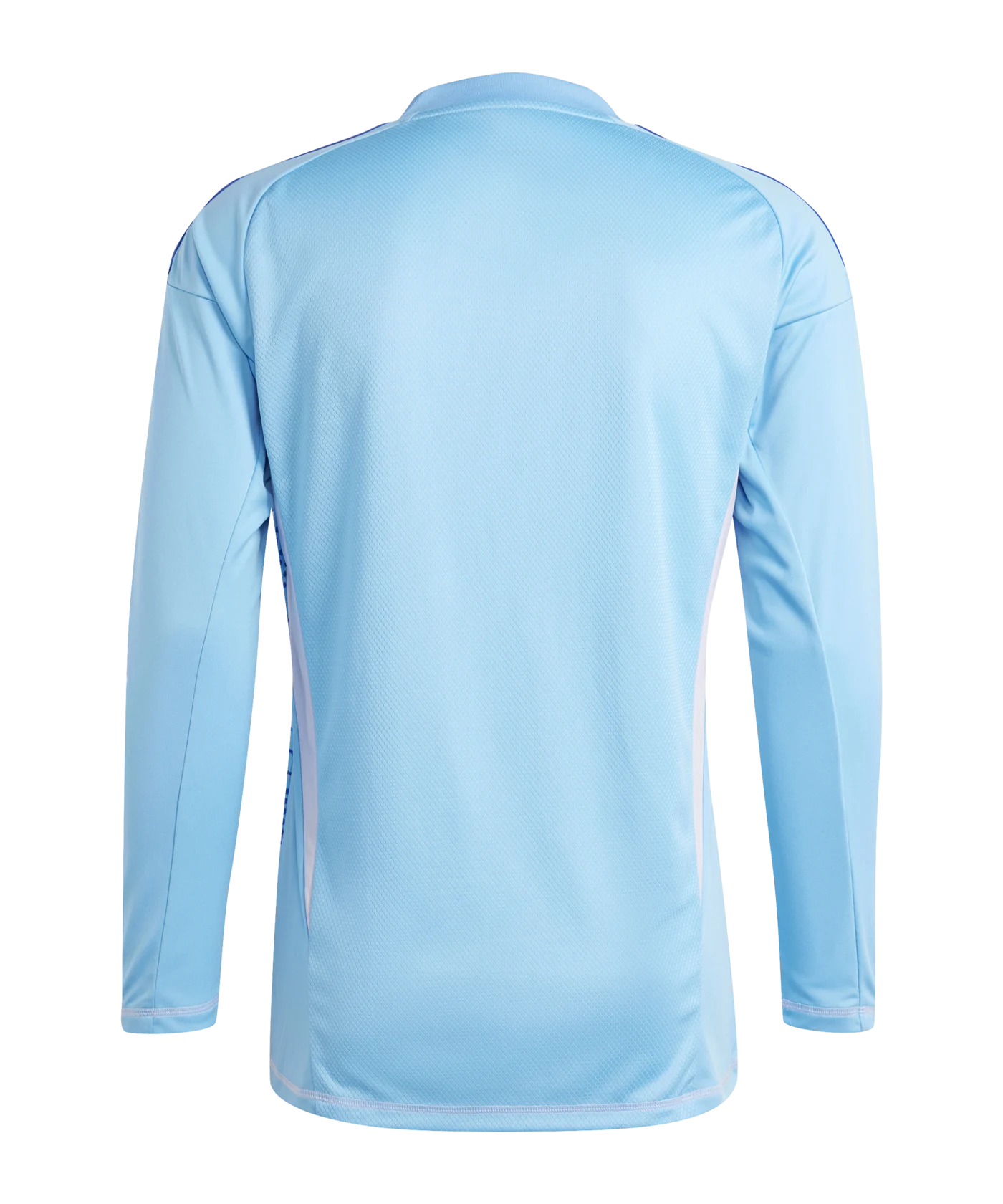 adidas Tiro 24 Competition Torwarttrikot langarm Blau