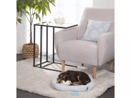 Jouet Anneau pour Chien & Chat 