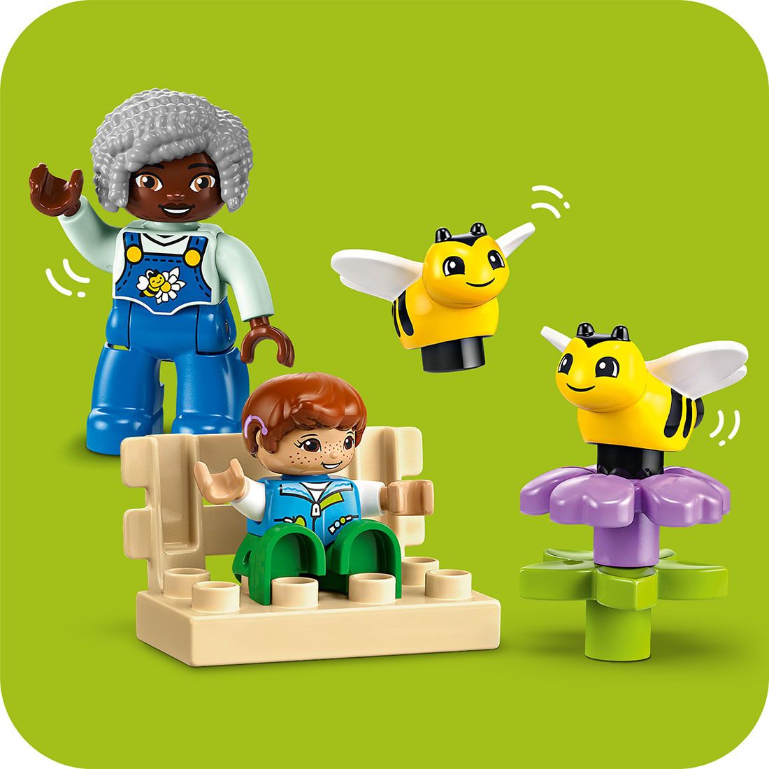 Caring for Bees & Beehives 10419