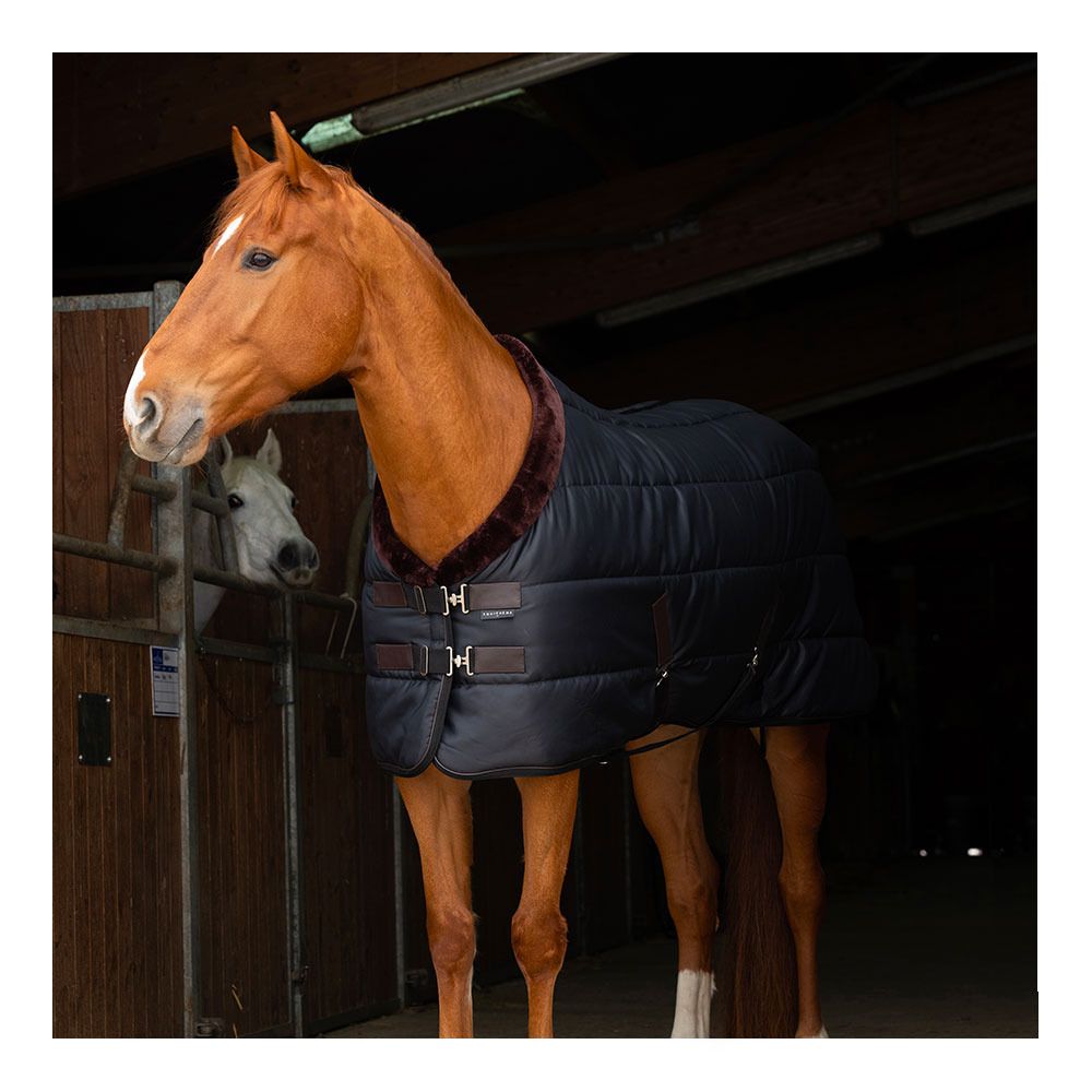 Equitheme TEDDY 200G - Couverture de box nr/brun