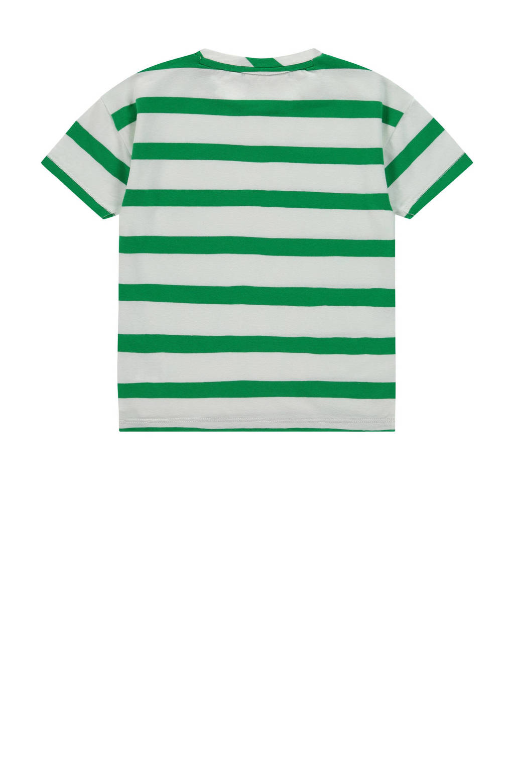 Stains&Stories gestreept T-shirt groen/grijs