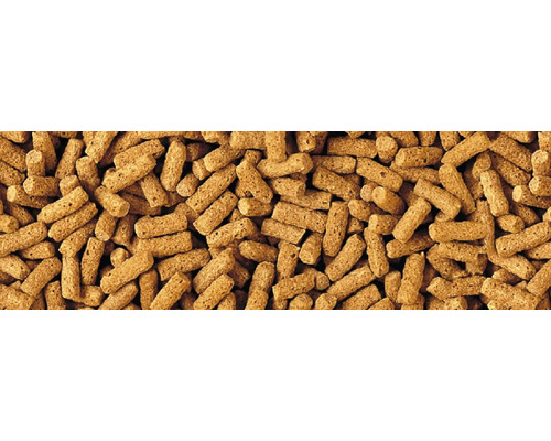 TetraPond Tarwekiemsticks 1 liter