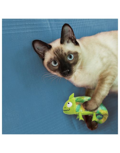 Kong Refillables Chameleon - Kattenspeelgoed - Camouflage Met Catnip