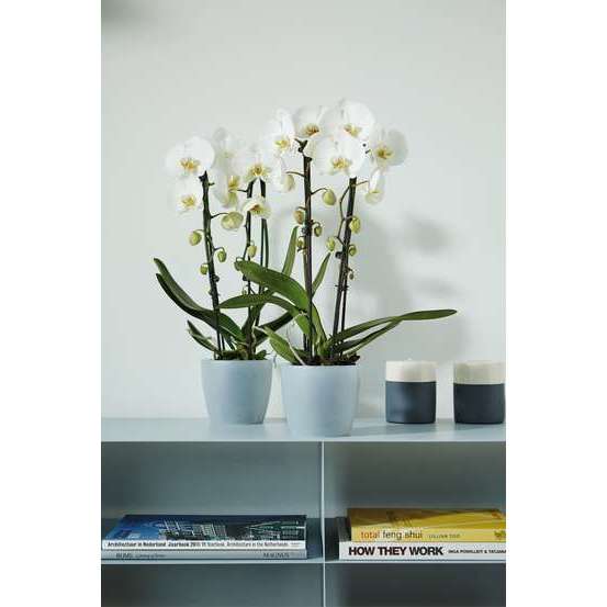 Cache-pot Brussels Orchidées en plastique injecté, blanc Ø 16 cm