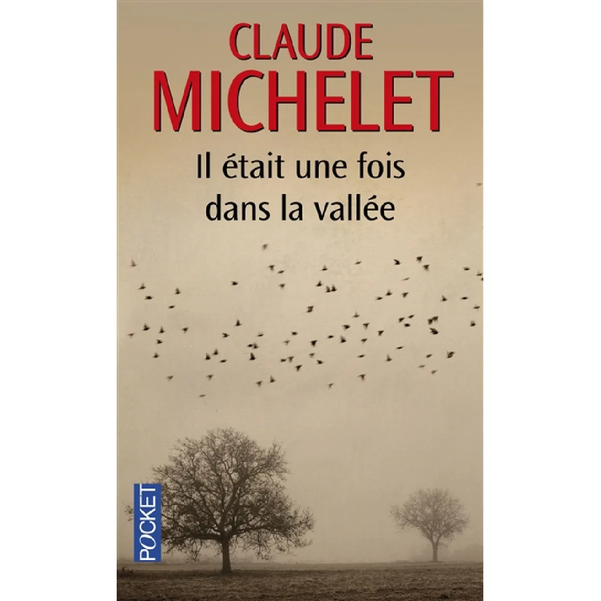 Il était une fois dans la vallée · Occasion