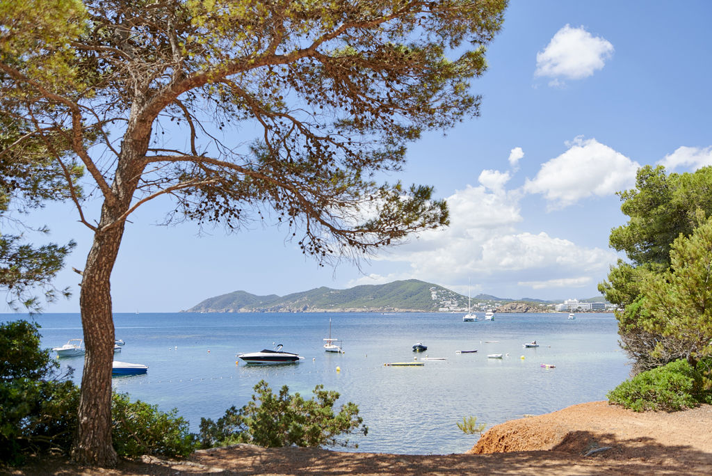 Iberostar Selection Santa Eulalia Halfpension - Hotel