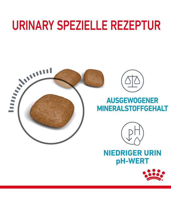 ROYAL CANIN® Trockenfutter für Katzen