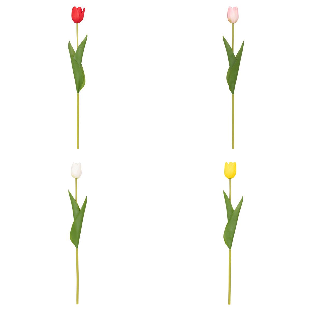 TIGE TULIPE MARTINE H.48CM