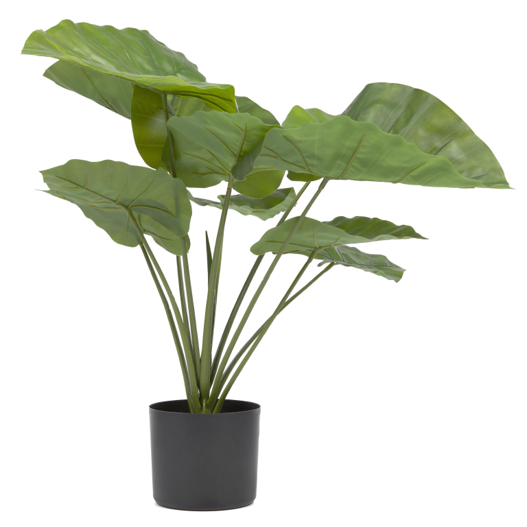 Kave Home Alocasia kunstplant 57