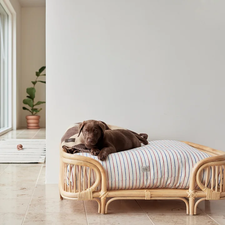 OYOY ZOO - Otto Hundebett, medium, natur
