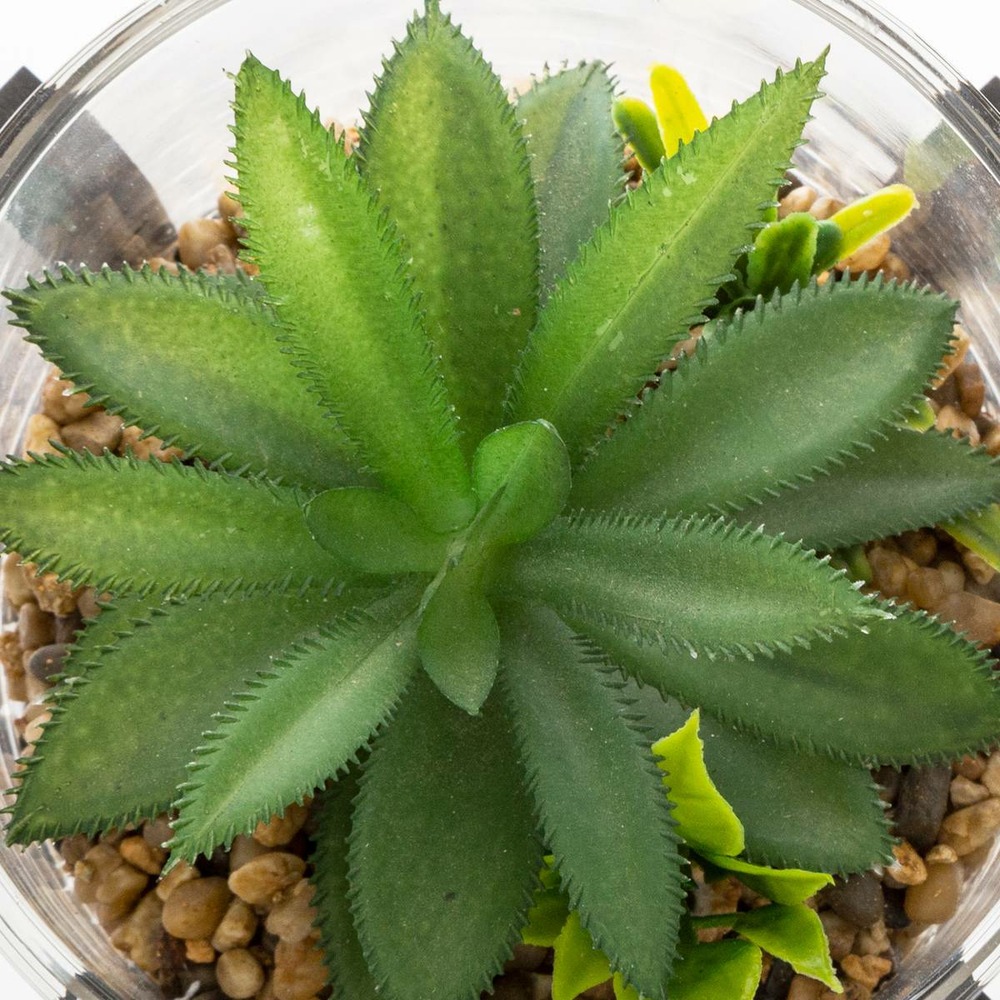Plante artificielle pot en verre sur support en bois h 12 cm