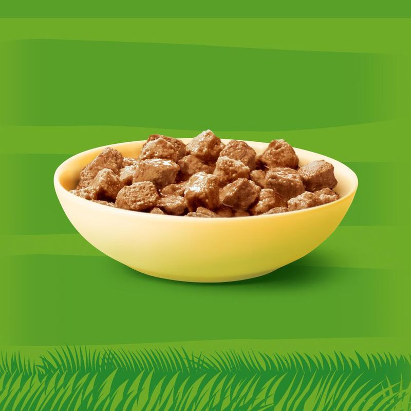 Kitekat 48 x 85 g à prix discount sur bitiba.fr