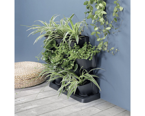 Pottenset voor kruiden & bloemen Wilk 68,5 x 19 x 54,6 cm kunststof grijs