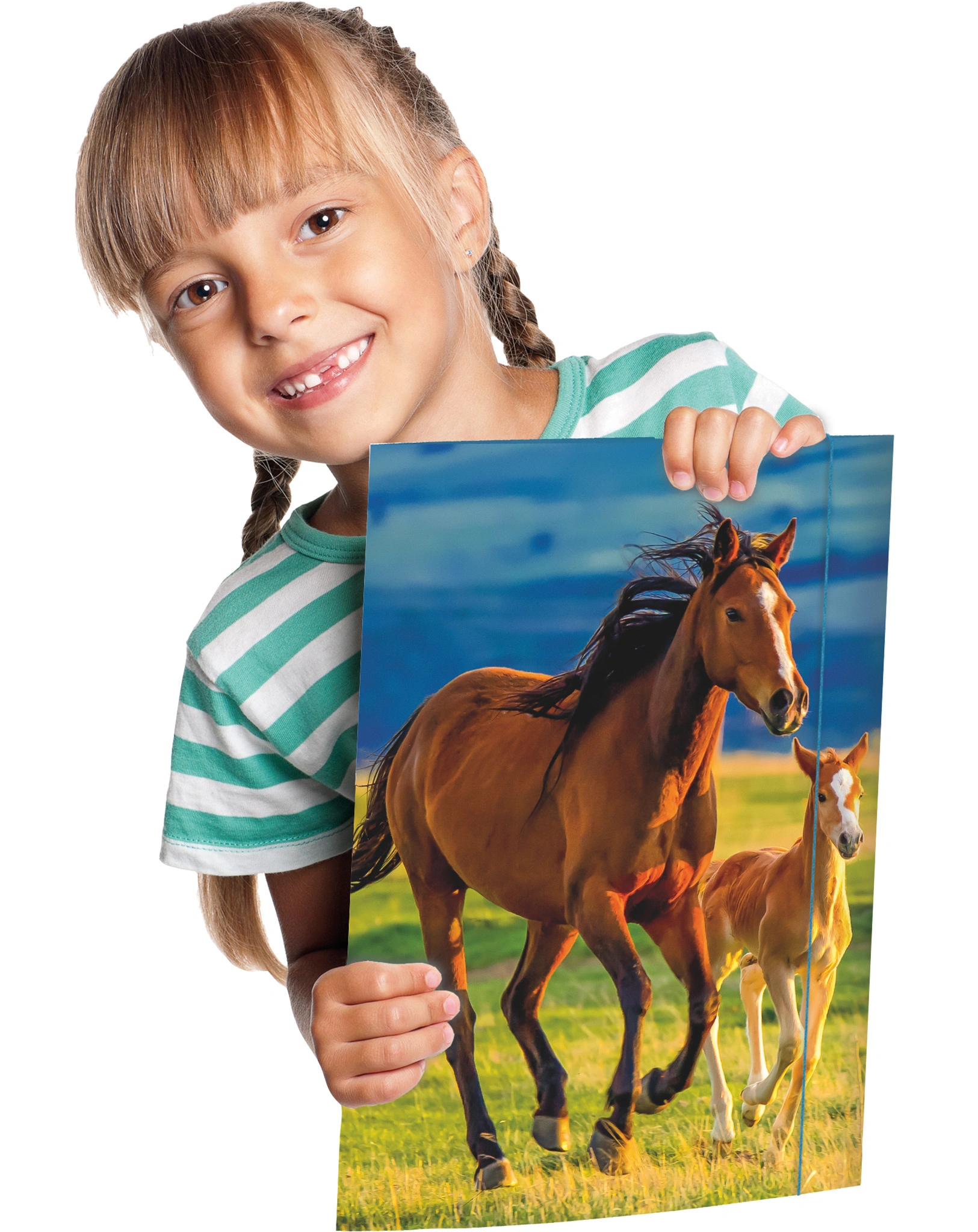 Zeichenmappe FREE HORSES (31x44) A3