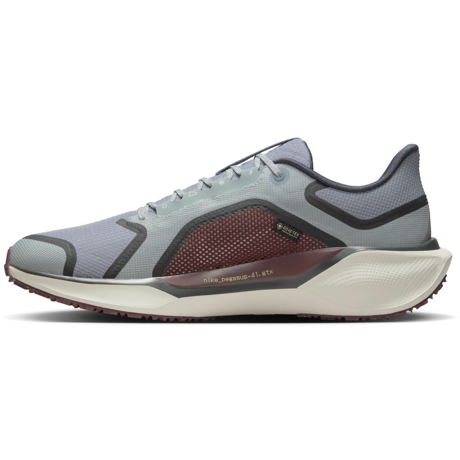Nike Pegasus 41 GTX Heren