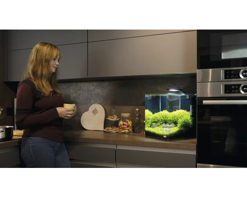 DENNERLE Nano Cube 30L aquarium met zwarte achtergrondfolie, schuimmat, afdekglas en beginnersbrochure, ca. 30 x 30 x 35 cm