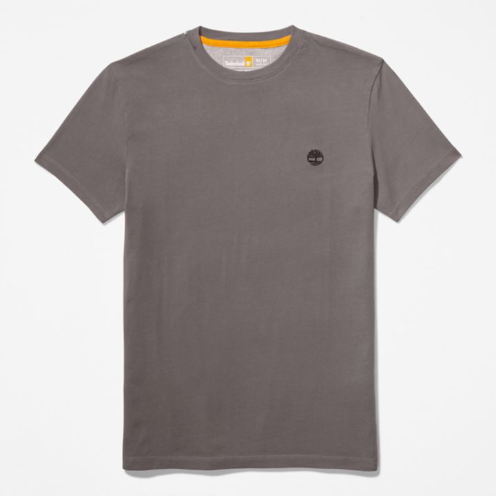 Camiseta Dunstan River Crewneck Masculina na cor Cinza