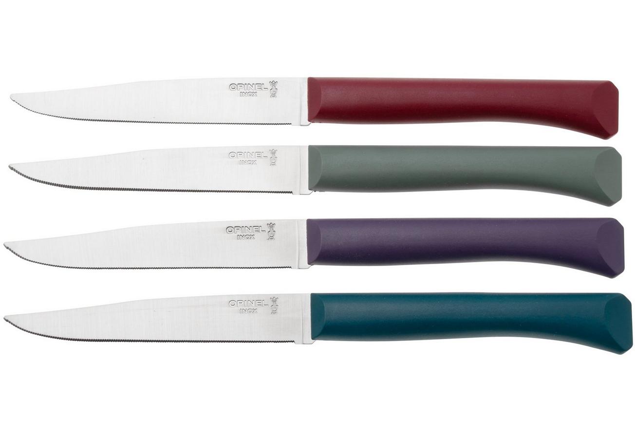 Opinel Bon Appetit  2197 Glam, 4-delige tafelmessenset