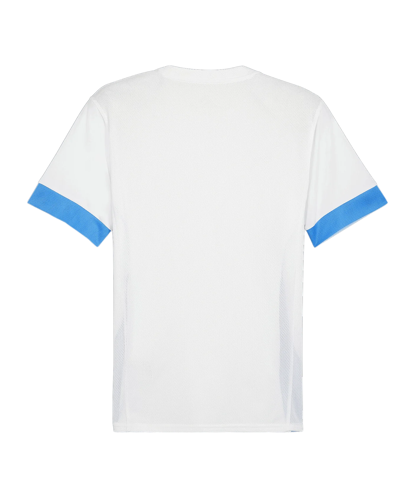 PUMA teamGOAL Matchday Trikot Weiss Blau F12