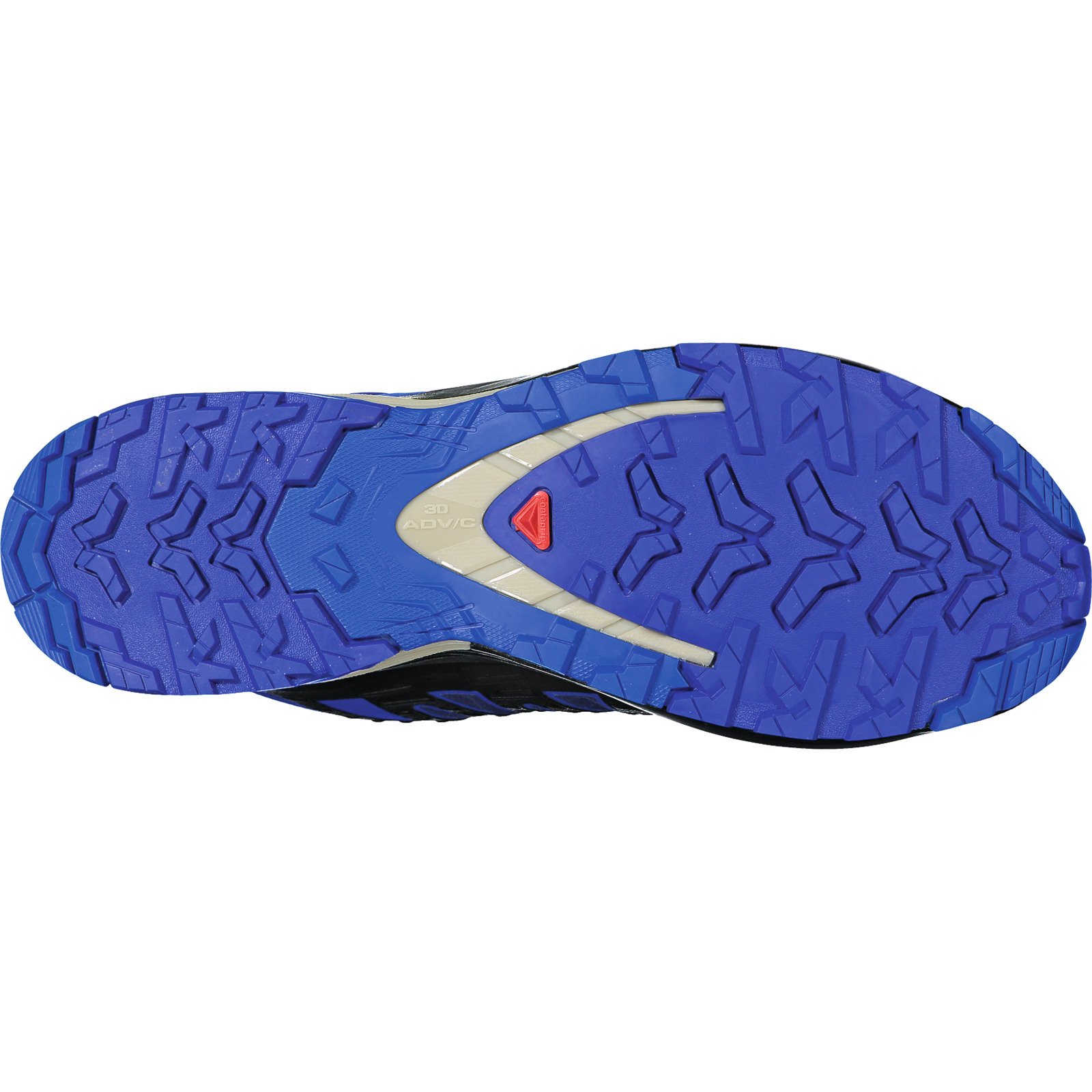 Salomon Herren-Multifunktionsschuh XA PRO 3D V9 GTX blau, 42 2/3