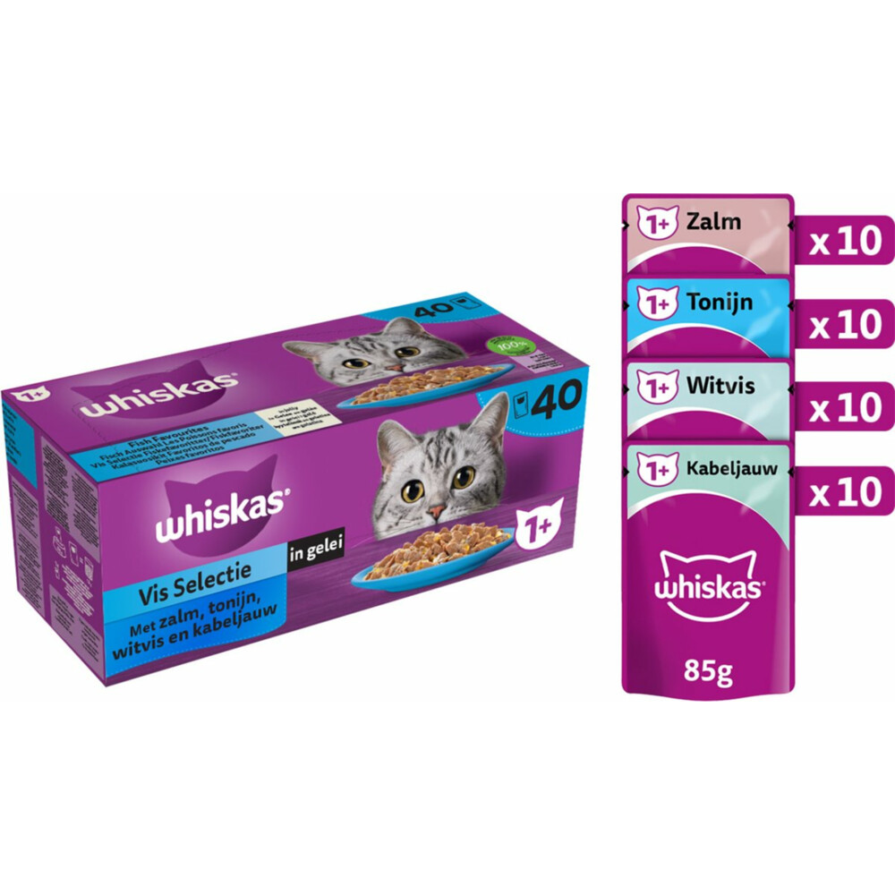 Whiskas 1+ Kattenvoer Natvoer Vis Selectie in Gelei40 x 85 gr