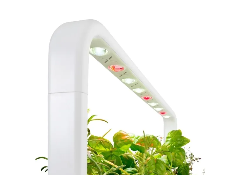 Click & Grow Smart Garden 9, LED, 9 Lampe( r)