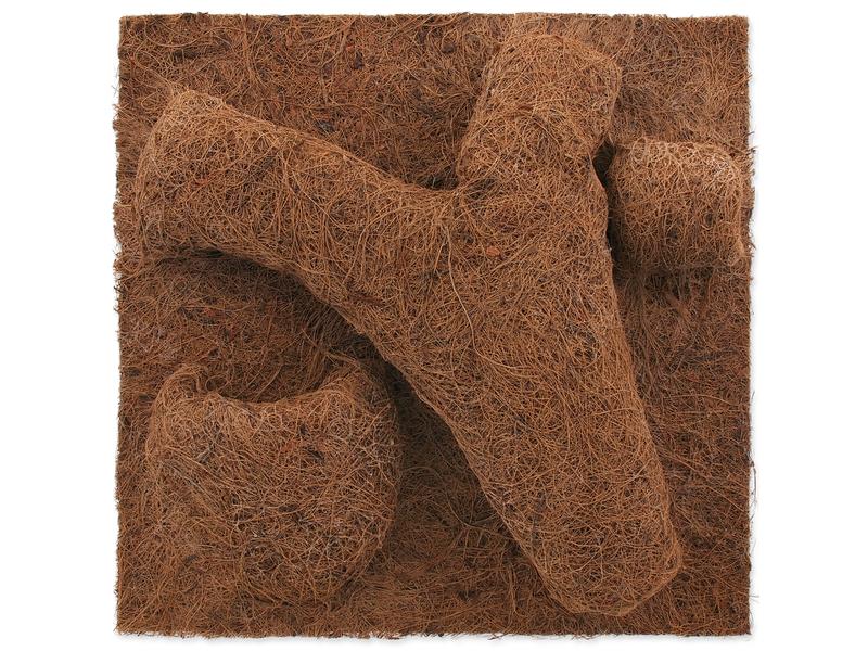 Repti Planet Coco Pflanzgefäss 30 x 30 cm Natürliche Rückwand mit integriertem Pflanzentopf