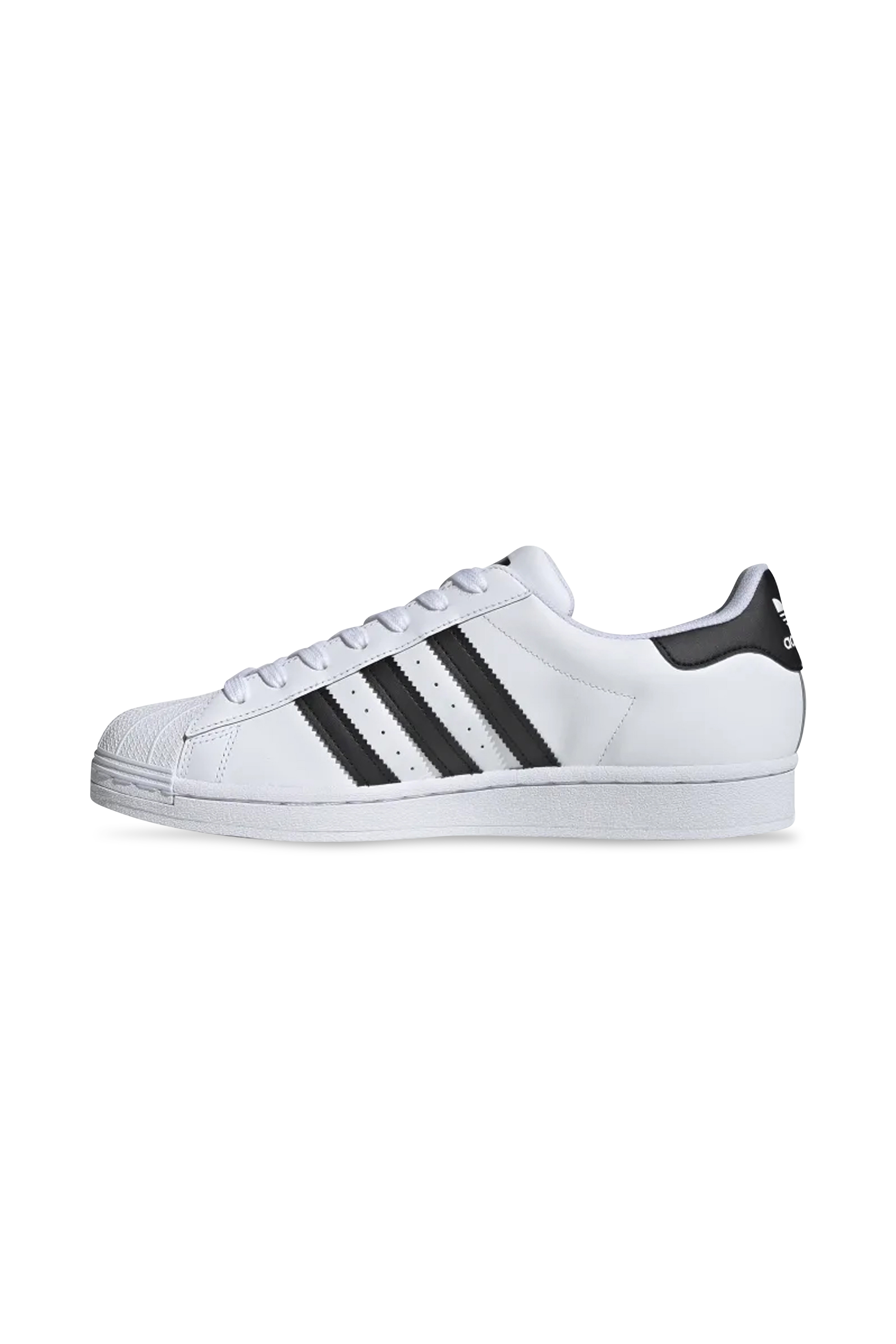 ADIDAS Baskets SUPERSTAR Blanc