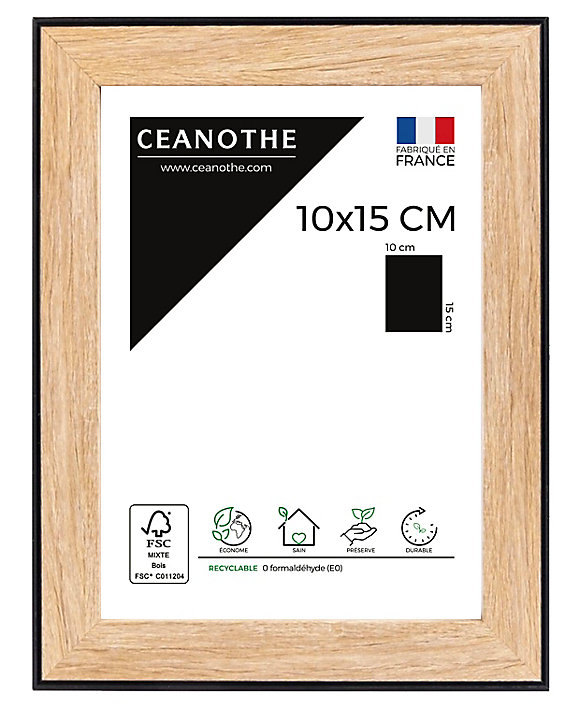 Cadre Newton noir l.10 x H.15 cm Ceanothe
