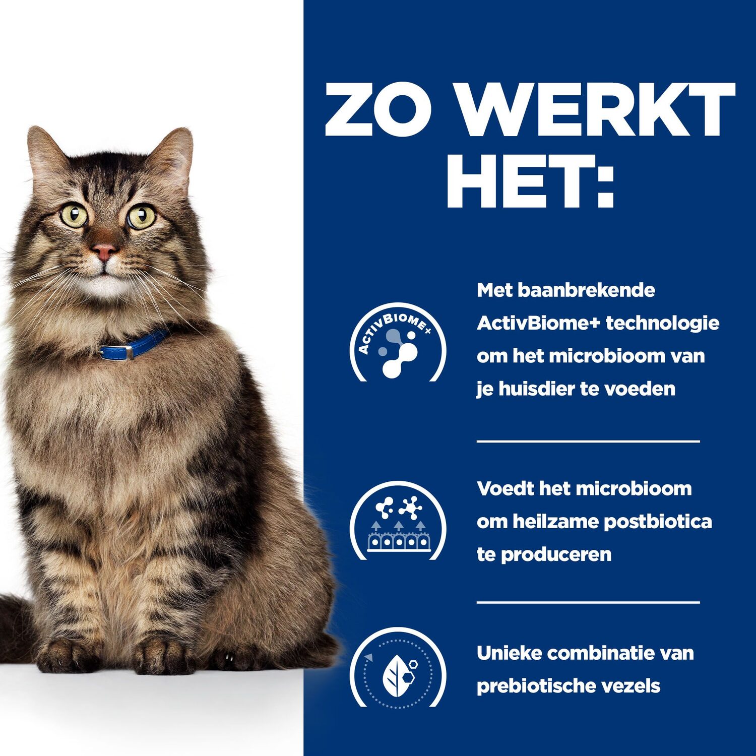 Hill's Prescription Diet - Gastrointestinal Biome - Stoofpotje Kattenvoer