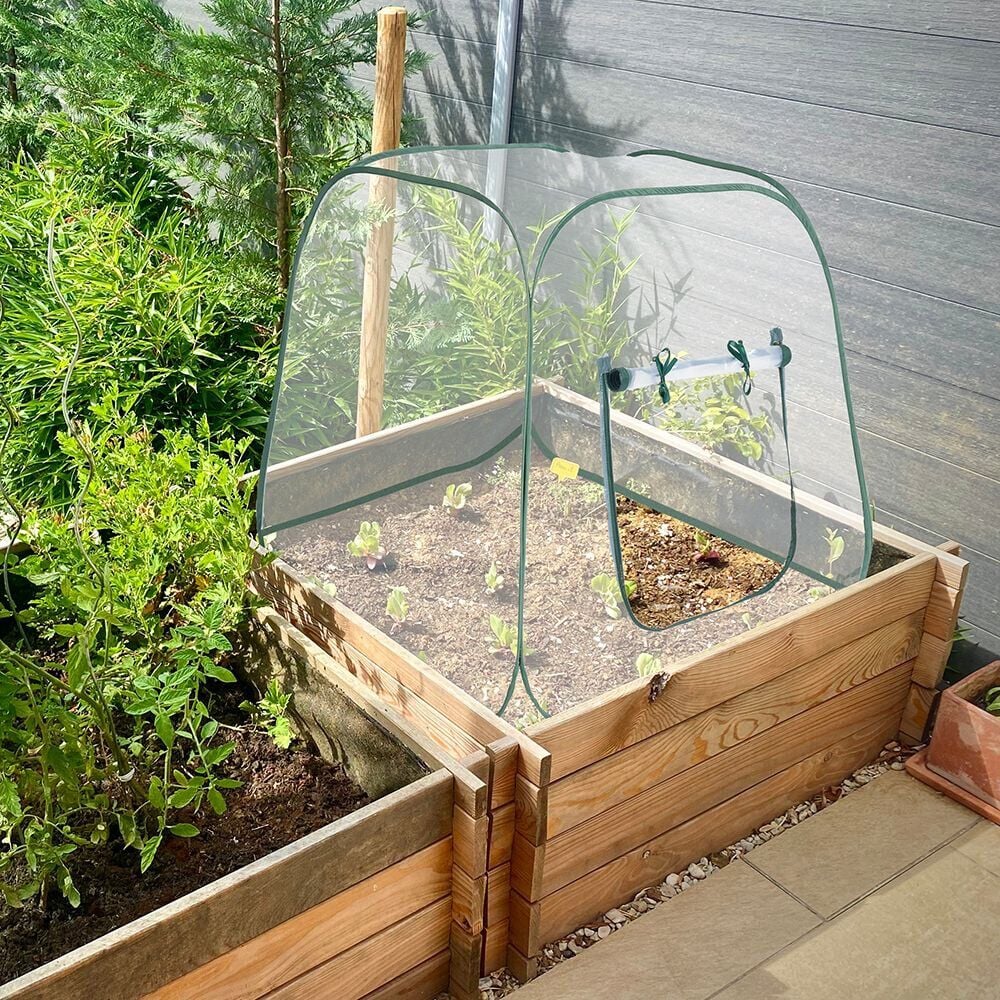Serre pop-up pour carré potager 80x80xH80 cm