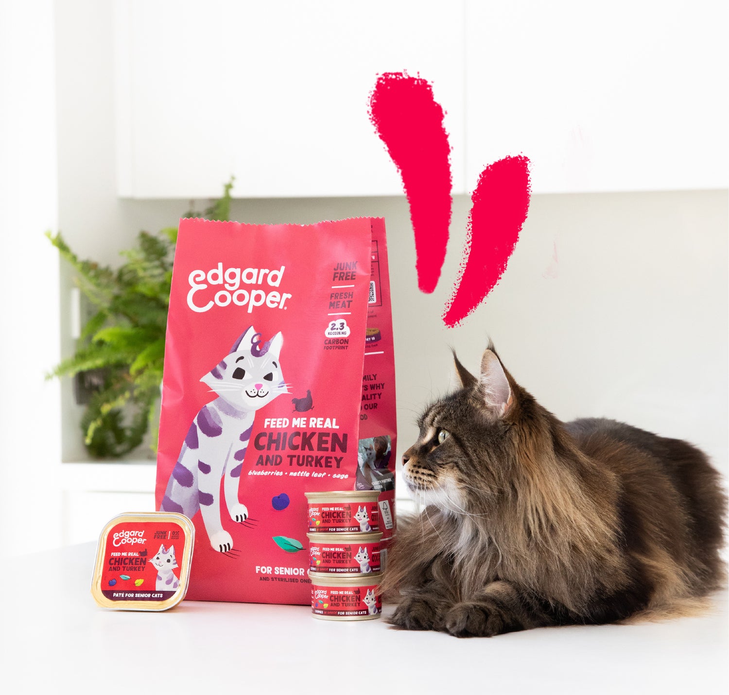 Edgard & Cooper kattenvoer eend/kip senior 2 kg