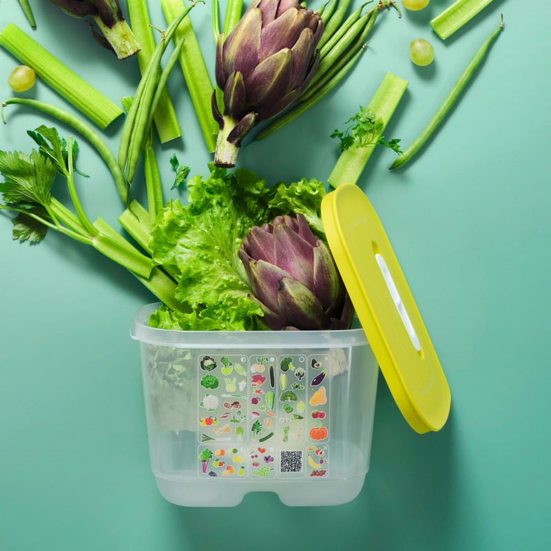 KlimaOasen-Set (5) Grundausstattung zum Frischhalten von Gemüse, Obst und Kräuter