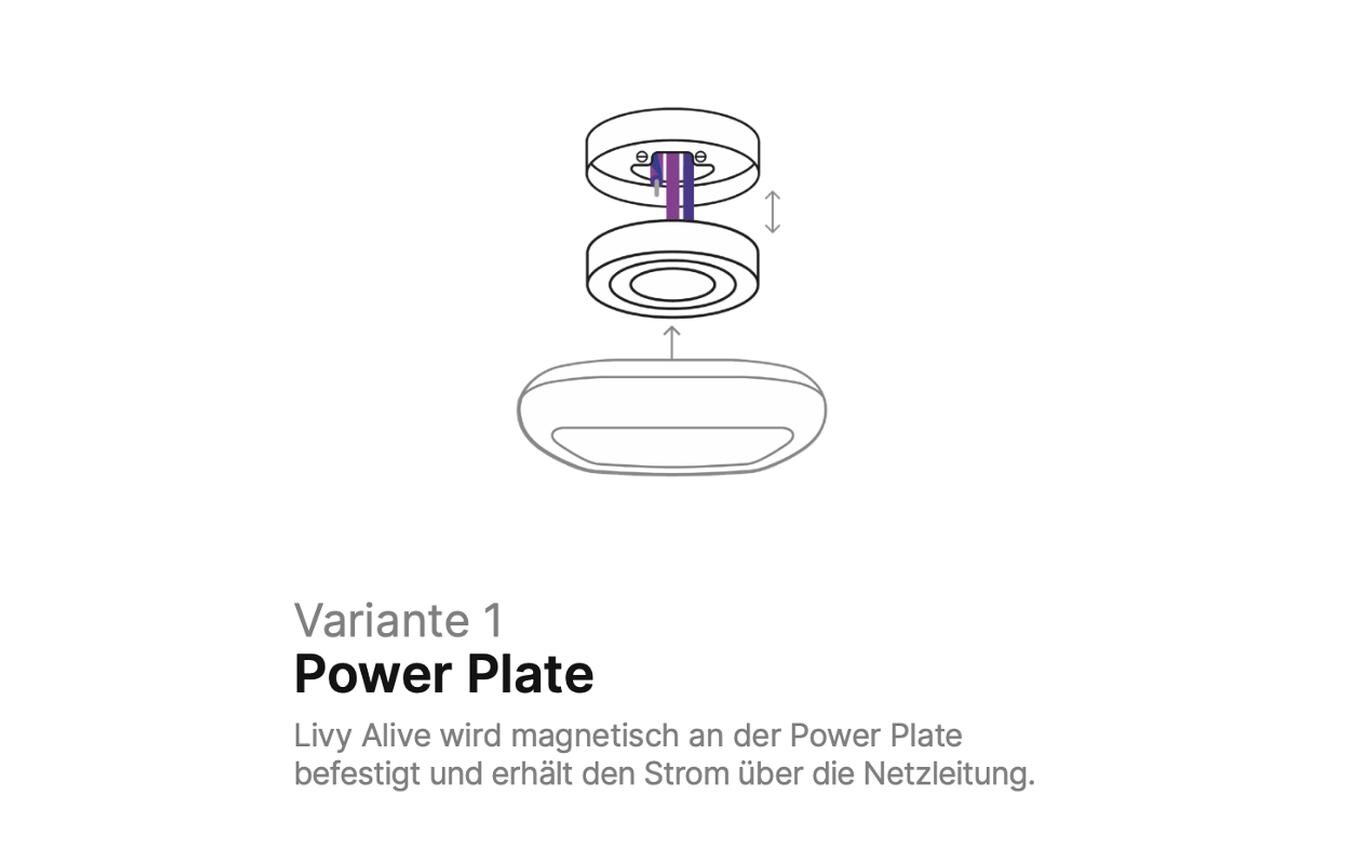 Deckenmontageplatte Livy Alive Power PlateFeste Deckeninstallation der Livy Alive Smart Living Station mit Stromanschluss