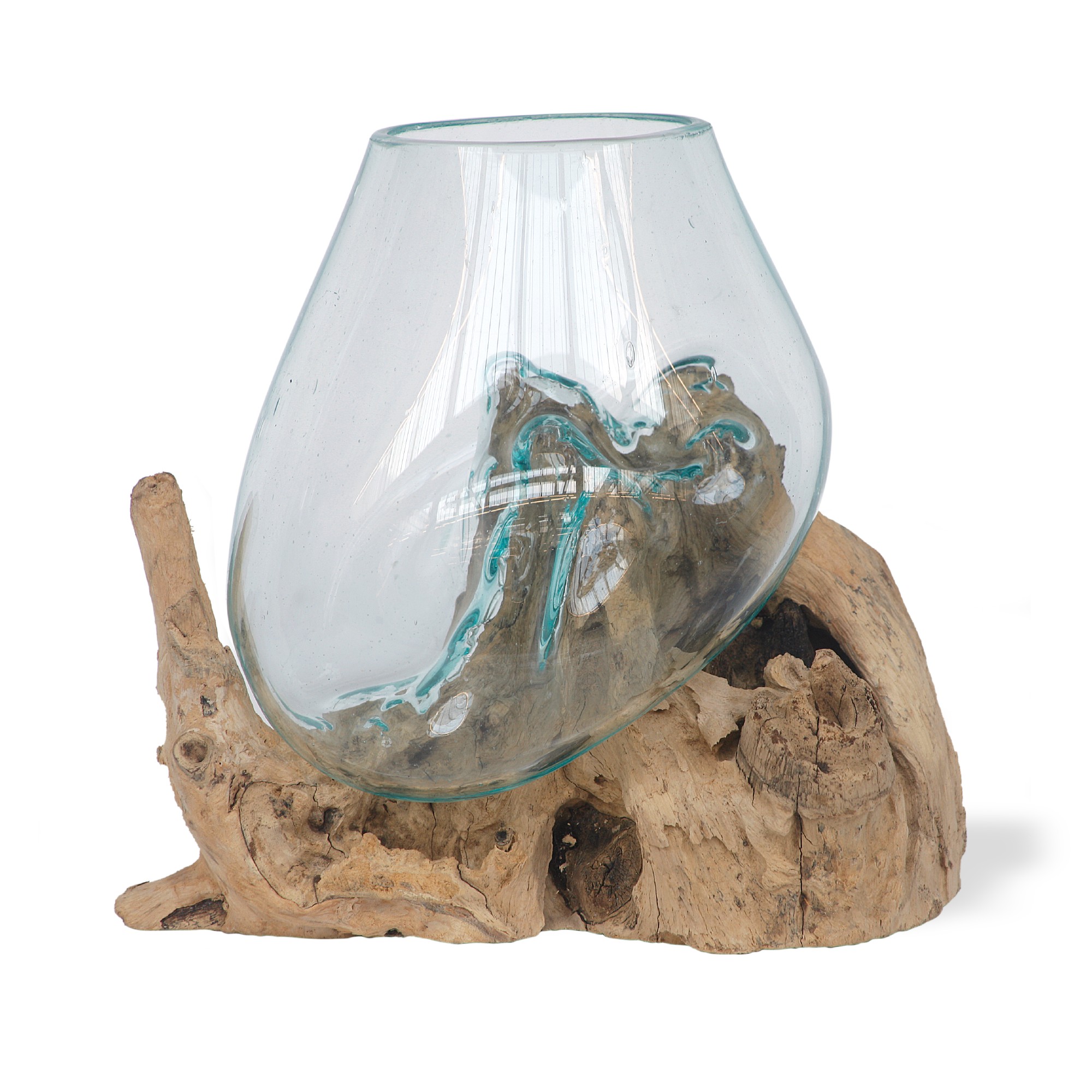 Glasvase aus Wurzelholz, natur, T 13 - 20 cm, B 22 - 26 cm, H 20 - 22 cm von fischer's lagerhaus