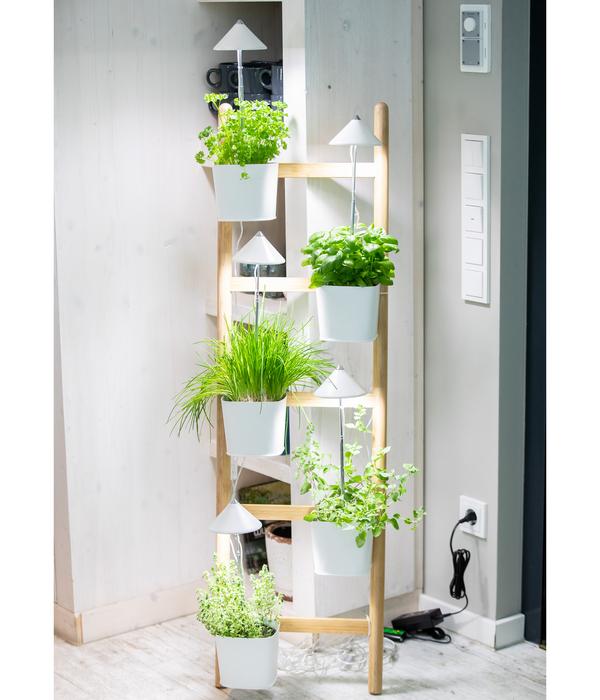 Venso LED-Pflanzenlampe